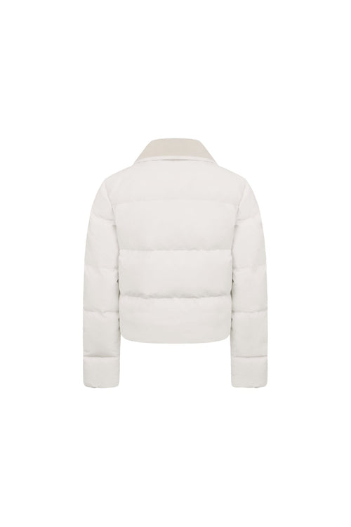 Apricot Stand - up Collar Slim - fit Down Jacket - ANN ANDELMAN