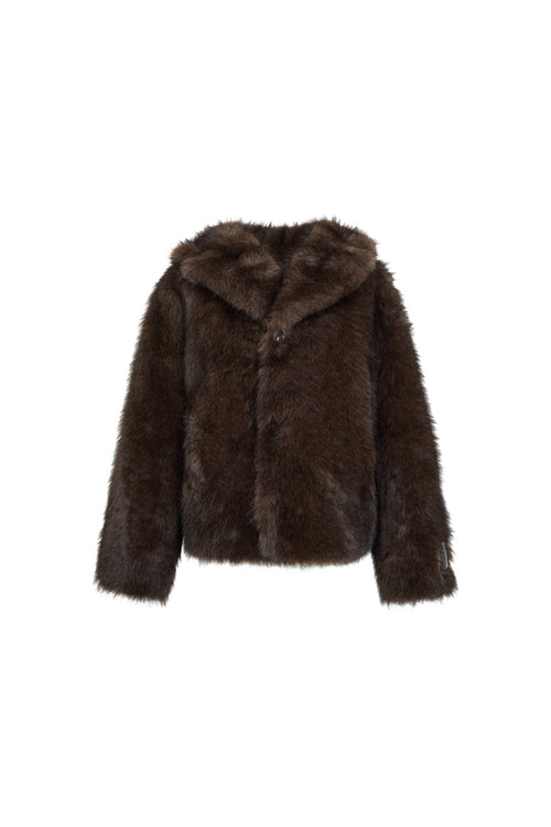 Brown Fur Coat - ANN ANDELMAN