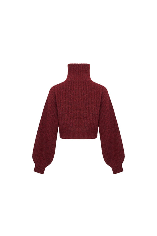 Burgundy Chunky Knit Turtleneck Sweater - ANN ANDELMAN